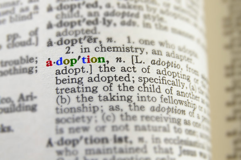 adoption defined