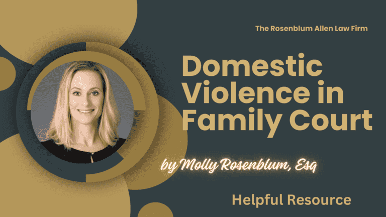 Domestic Violence in Family Court Banner