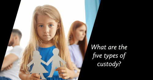 What are the 5 types of custody?
